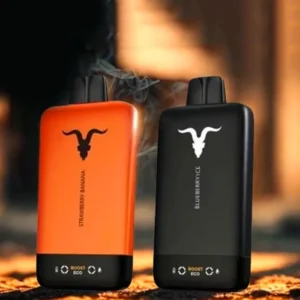 IGNITE V155 15500 Puffs Rechargeable Disposable Vape with Dual Modes UAE